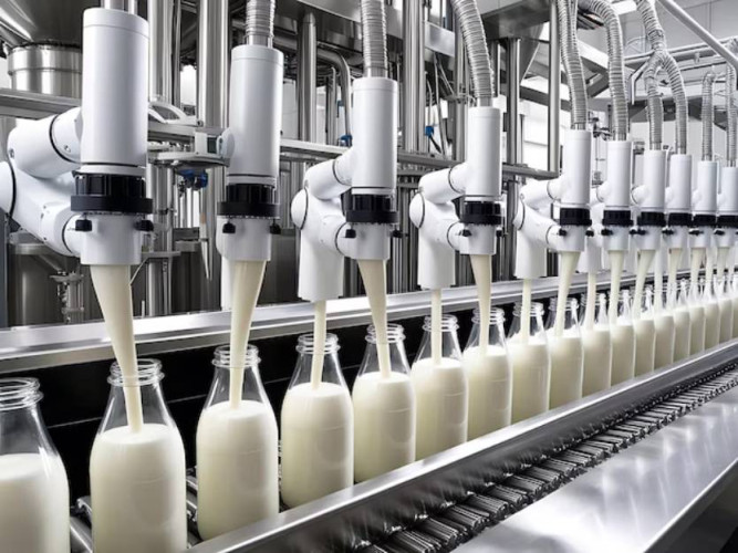 Milk Processing Plant and Machines